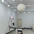 몽드레 이미지