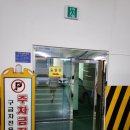 울산광역시북구보건소 | [울산 보건소] 북구 보건소 임신전검사 산전검사 준비물 및 검진 후기 검사항목