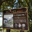 365계단 티스토리
