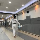 경희대 제우스 태권도장 이미지