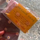 공룡박물관야외화장실 | 전남 키즈글램핑, 영암 들소리키즈글램핑 리뷰