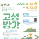 고성리-13 네이버블로그
