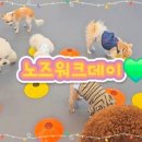 다온멍스쿨 이미지