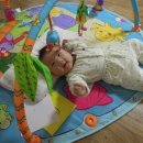 해피토이 이미지