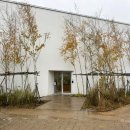 빈터 | 양양 베이커리카페 숲속의 빈터 카페