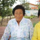 서해에너지태양광발전소 이미지