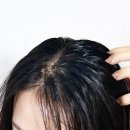 선메딕 | 올리브영 두피관리 추천템 레스노베 엑스퍼트 샷 스칼프 앰플 후기