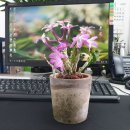 진로식자재마트