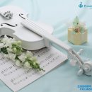 비전바이올린