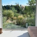 월랑소운 이미지