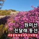 1호화장실(진달래화장실) | 부천 원미산 진달래 공원 온통 분홍빛! 뚜벅이 방문 팁과 아이랑 걷기 좋은 코스
