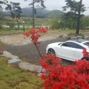 솔레이크펜션