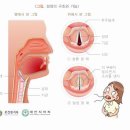 로이음악학원 이미지