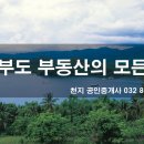 천지부동산공인중개사사무소 이미지