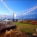 한우&흑돼지 이미지