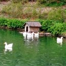 장수헬스클럽 이미지