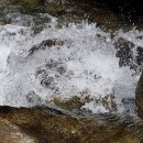 구룡축산 이미지