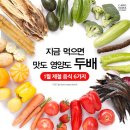 리스티클 이미지