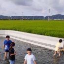 흥해읍 참새미 이미지