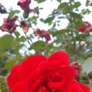 신월카서비스 이미지