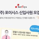 포이시스 네이버블로그