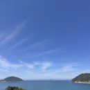 홍포촌닭