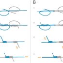 낚시 매듭법 이미지