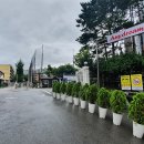 동도중학교 입구 이미지