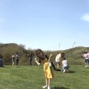 대두목장 이미지