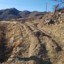 덕신해수욕장 이미지