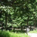 칠갑산자연휴양림 이미지