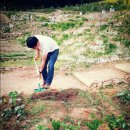 갈현농장 이미지