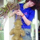 약초이야기 이미지