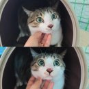 남경북약국 이미지