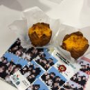 광역투어(셋째주, 토) | 개강 첫 주 기록 | 경희대 개강 일주일 후기! (직대딩 일상 현실 기록)