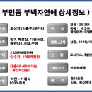 부평부백자연애아파트 이미지