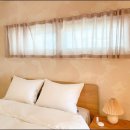 스테이화가 이미지