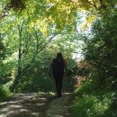 배풍산 화장실 이미지