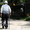 고령상회 이미지
