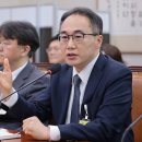조롱·윽박 국정조사, 결국 검사가 극단 선택 시도 이미지