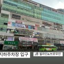 브로우진