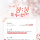 코아포토 이미지
