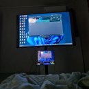 부엉이노래연습장 | 성심당세권 리얼 찐 주민의 알밤시루 요키요키 다 먹어보고 온 후기 + 마법소녀의 마녀재판