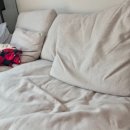 학하중앙로 | [체험단]🛋️🛌전문적인 상담에 만족했던 스프링에어 대전 유성점 방문 후기