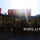 팔도굴수산