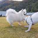 홍천힐링하우스 이미지