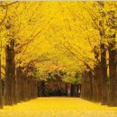 [고사성어] 필작어세 (必作於細) 이미지