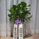 광주연세안과의원 이미지