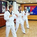 호키태권도 이미지