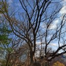 서초느티나무쉼터 | 서궁으로 불리는 경희궁지 돌담 산책